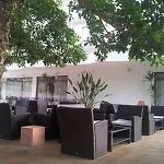 Riu Festival 4* 帕尔马海滩
