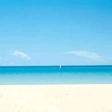 Riu Festival 4*