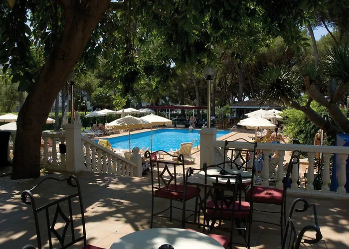 מלון Riu Festival 4*